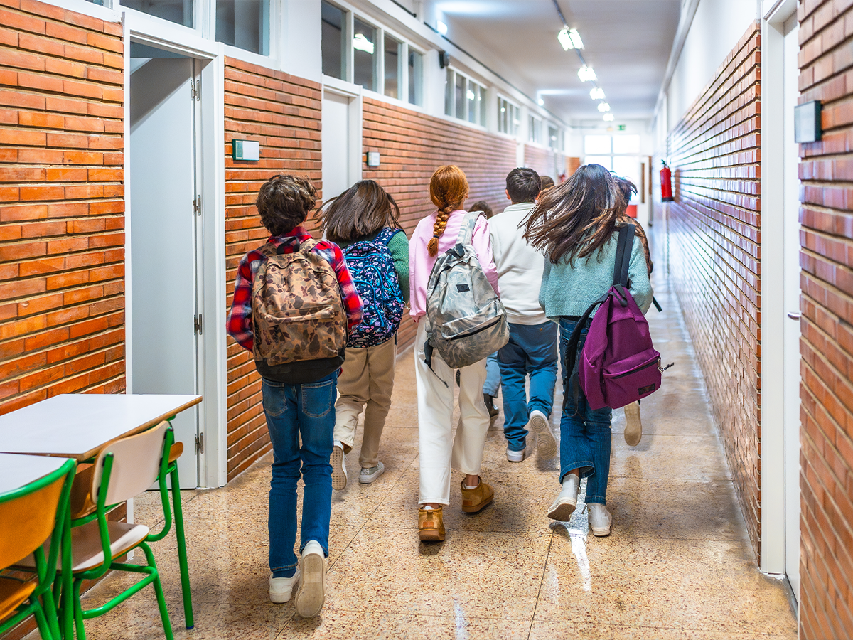 Ortaokul görsel alanı